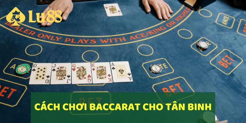 Cách chơi Baccarat LU88 cho thành viên mới
